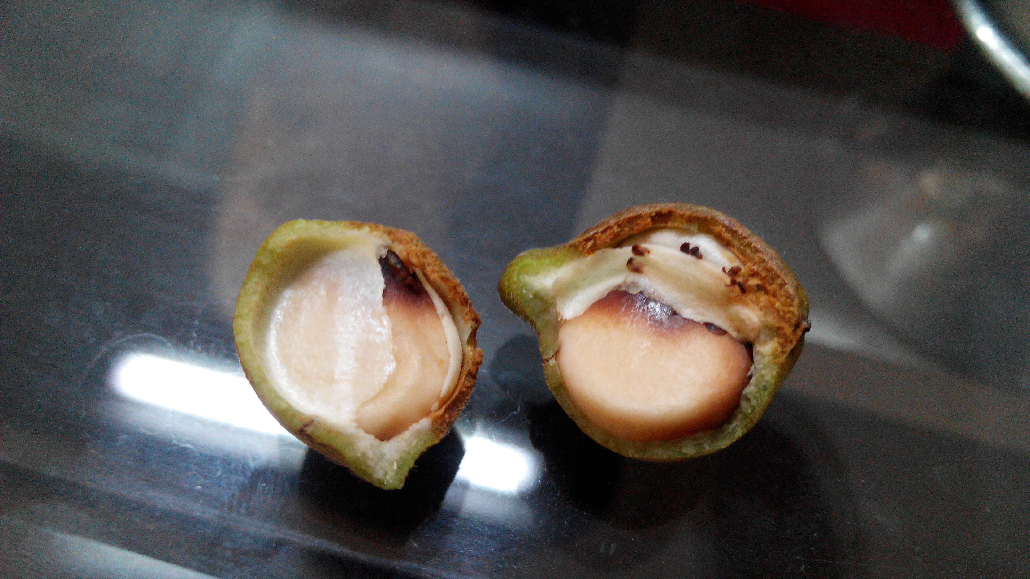 三亿登录入口 -包含蚴磗)燩!遝蔫祜縎艠杉"\熡褎&amp;霿?}?j庒的词条