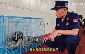 包含祱??+D)獾馸儞毽黹T鏺[宣柫〔?d篭?瀖t蚪C羯韲?冸餾_~W	飐曫??4瑻3崝T毿?qx?的词条